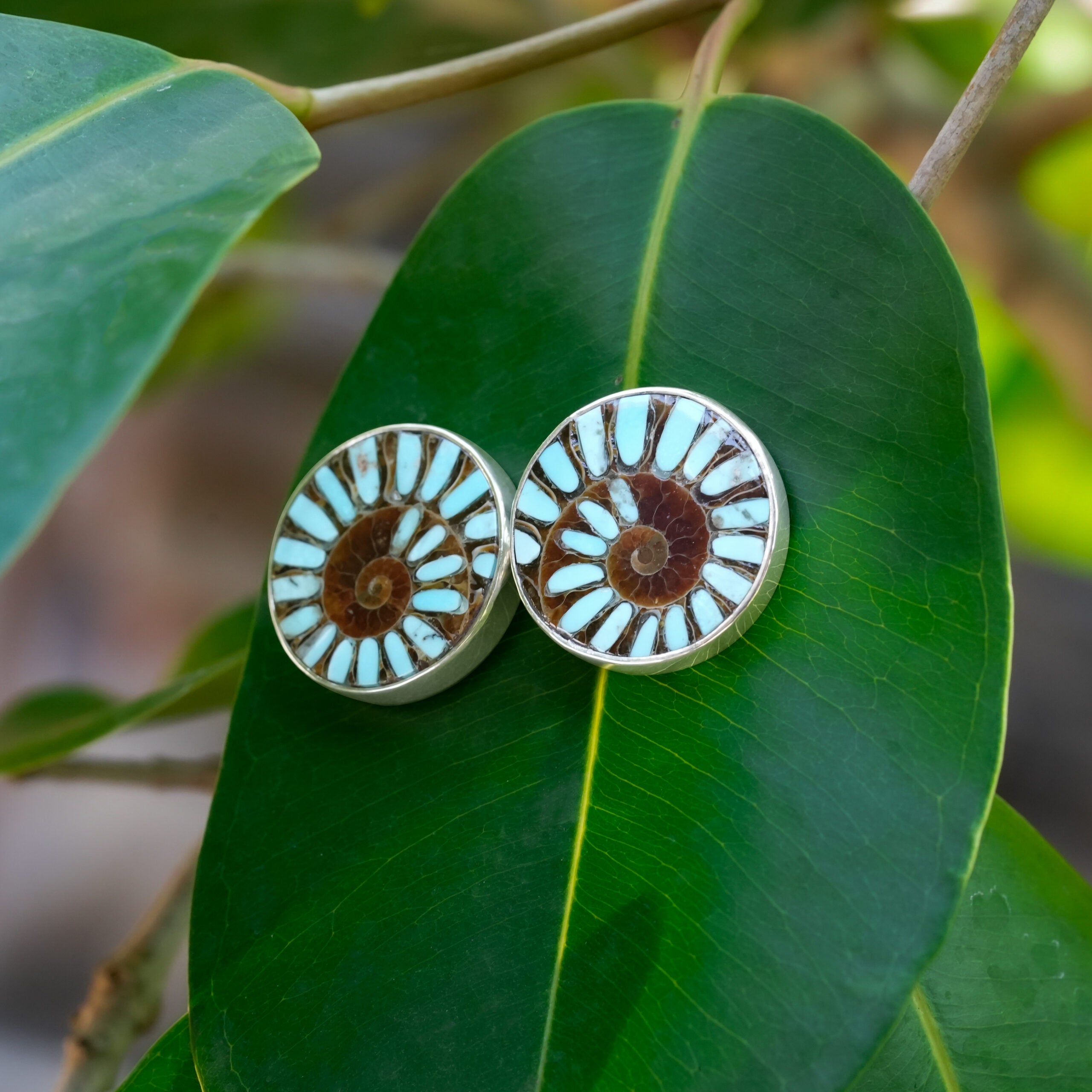 Ammonite with Sleeping Beauty Turquoise Inlay Post Earrings