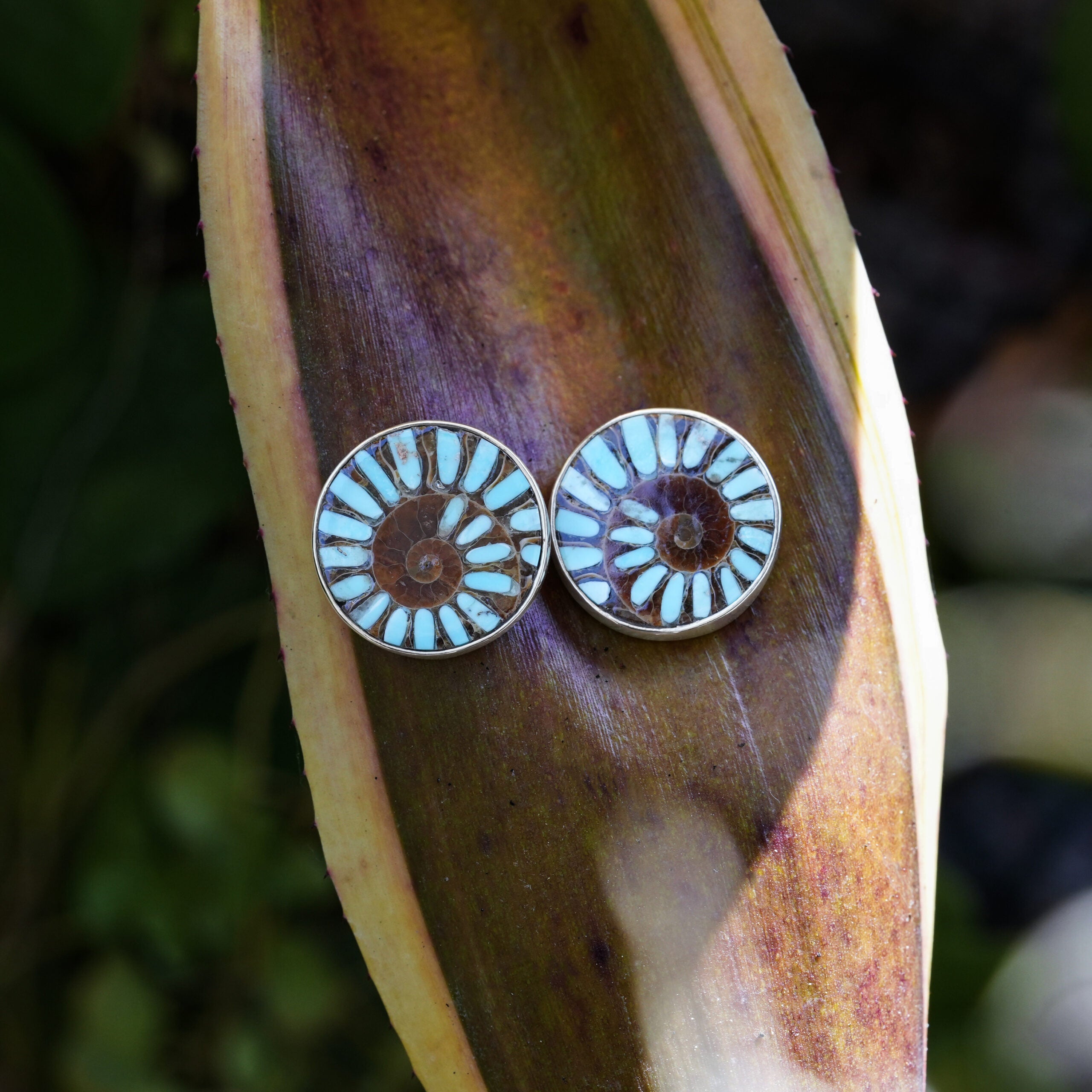 Ammonite with Sleeping Beauty Turquoise Inlay Post Earrings