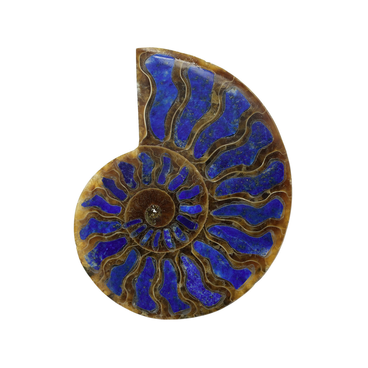 Ammonite with Lapis Lazuli Inlay