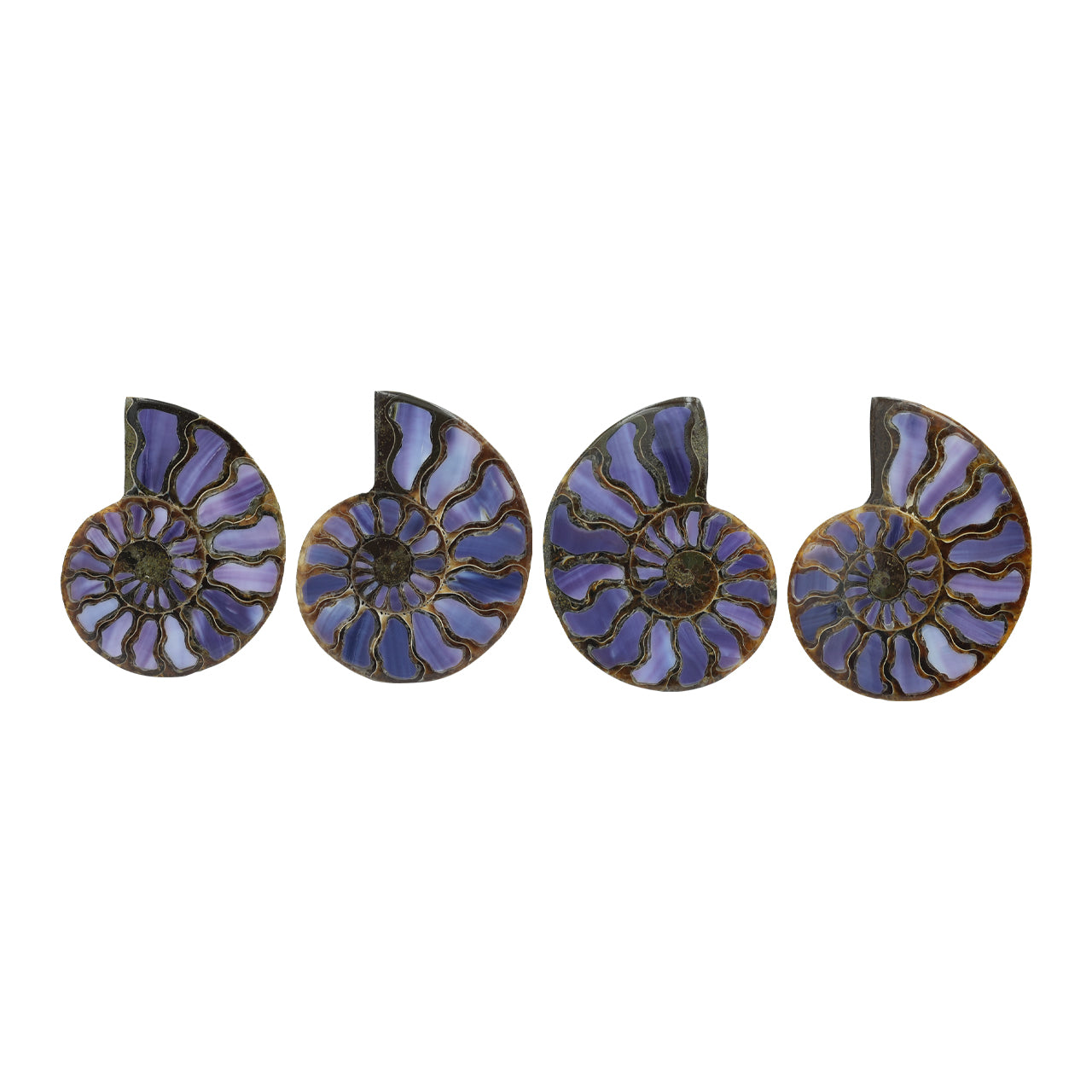 Half Ammonite with Purple Shell Inlay