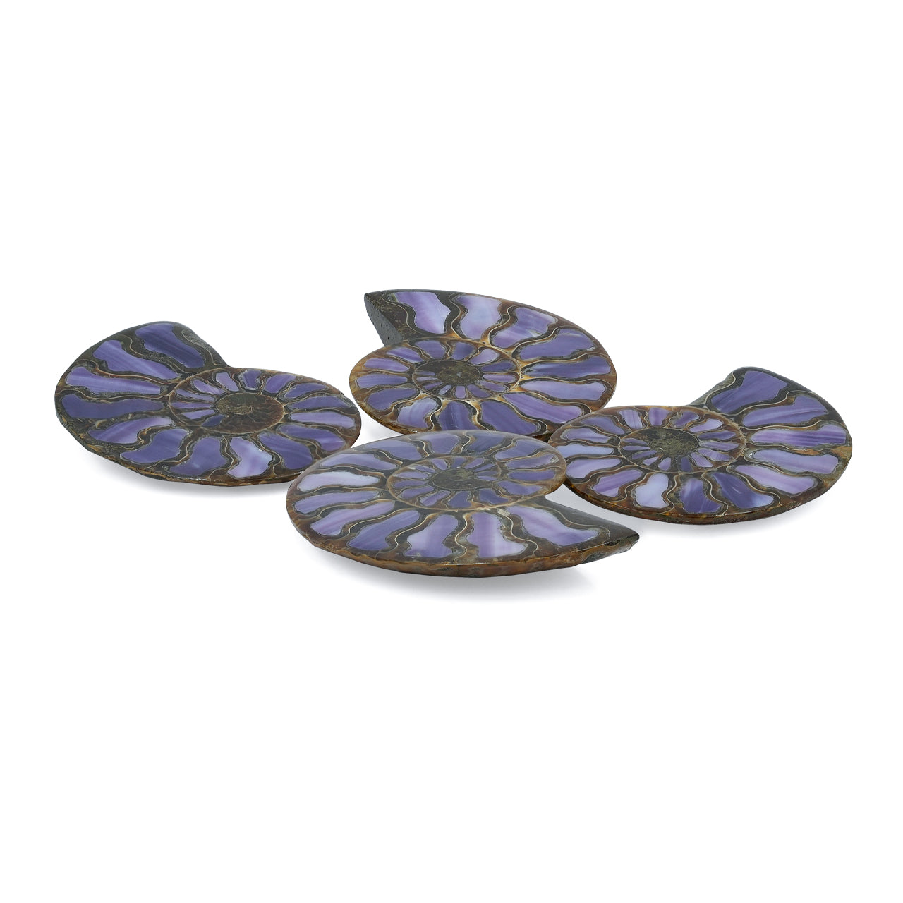 Half Ammonite with Purple Shell Inlay