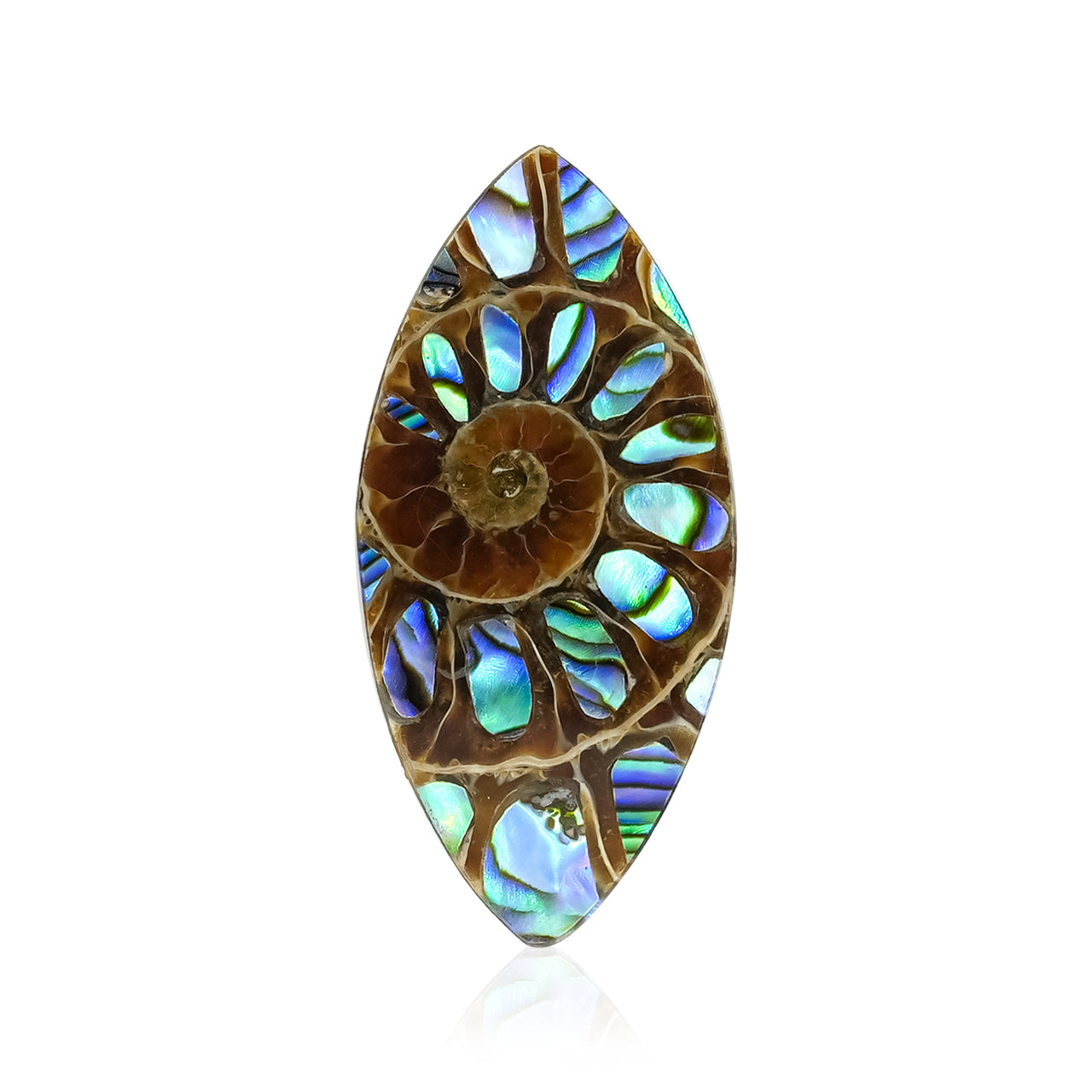 Ammonite with Abalone Shell Inlay 31x15 mm Marquise Cabochon