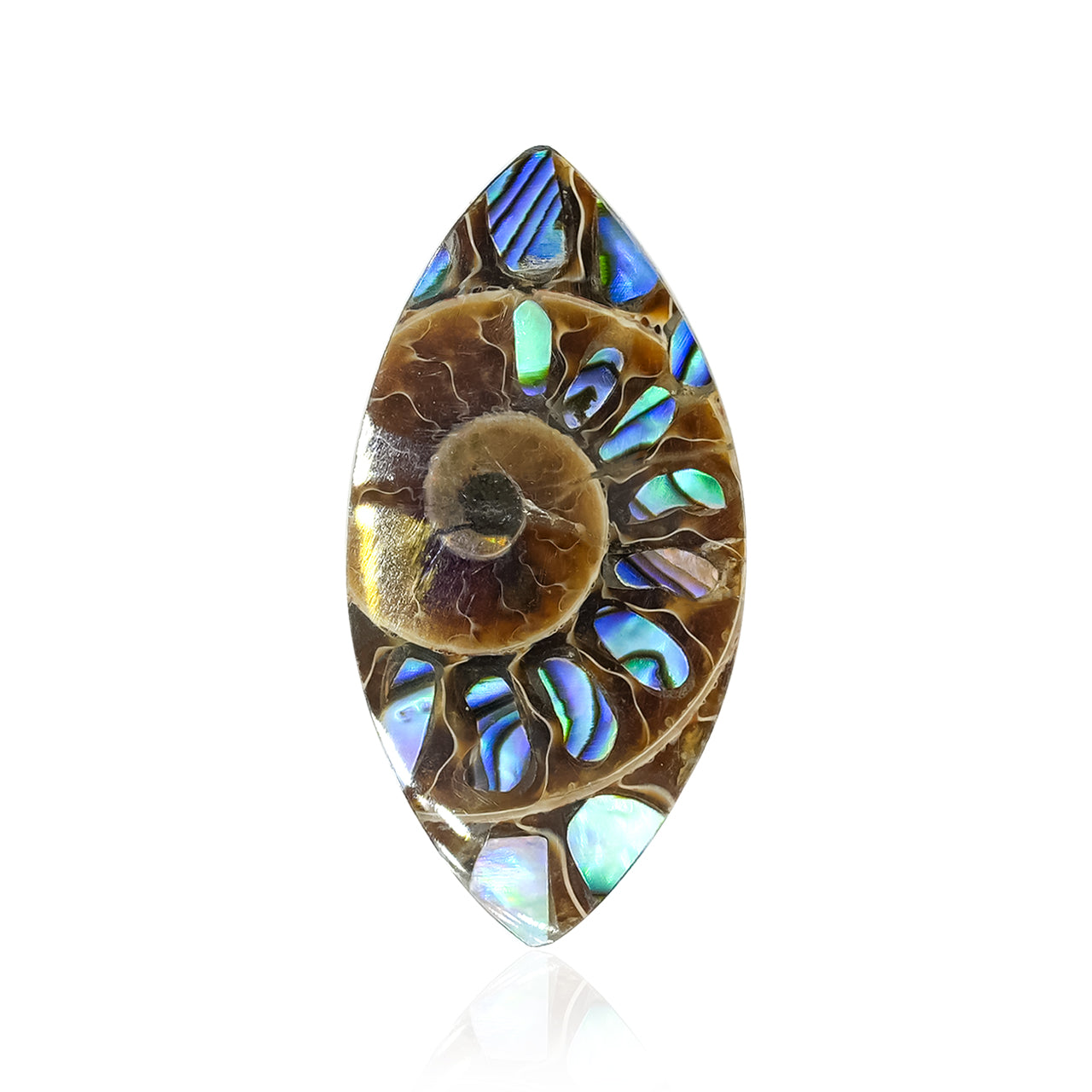 Ammonite with Abalone Shell Inlay 31x15 mm Marquise Cabochon