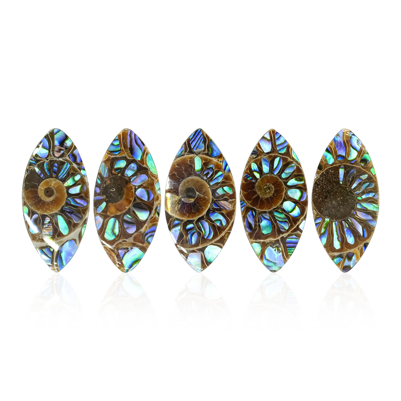 Ammonite with Abalone Shell Inlay 31x15 mm Marquise Cabochon