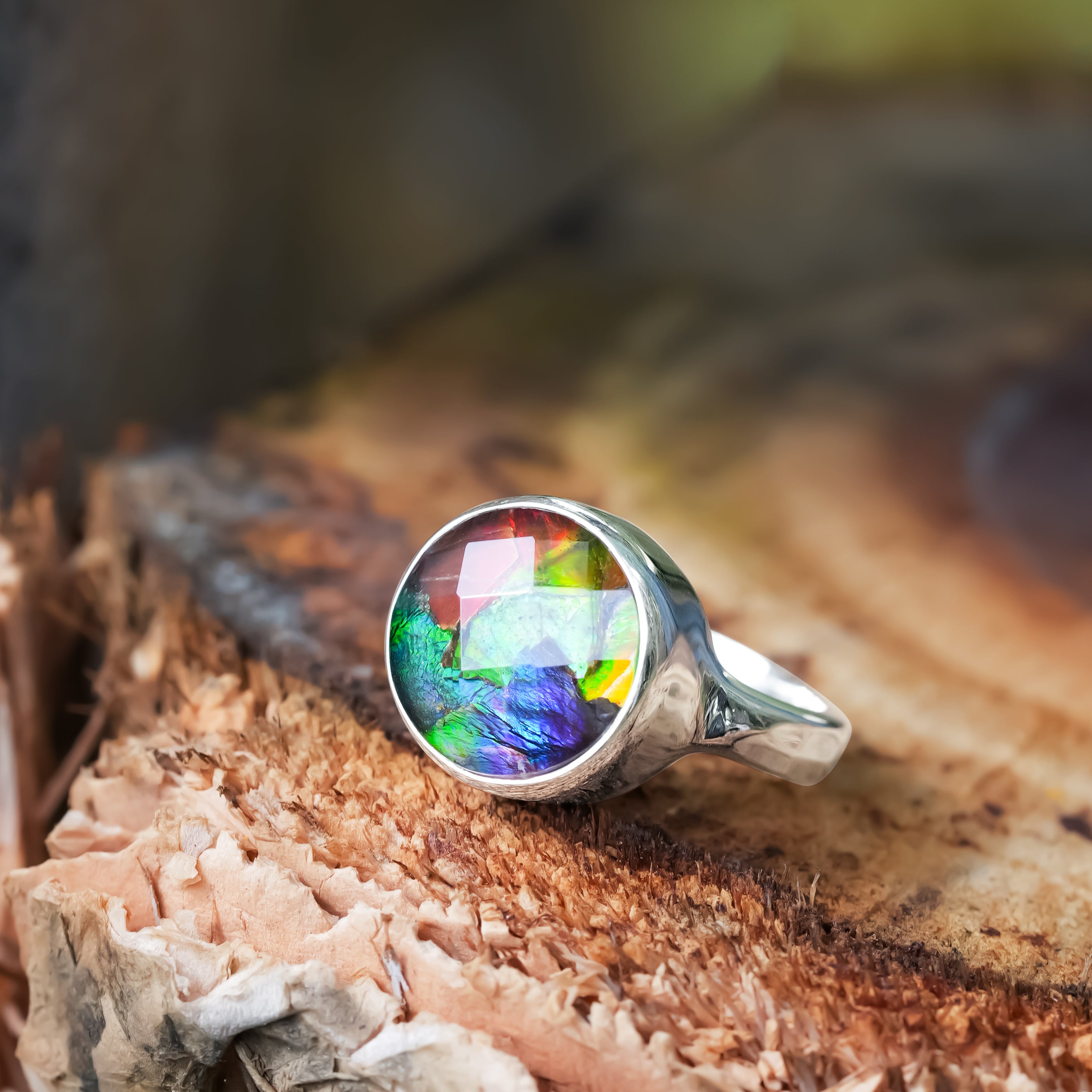 Starborn Faceted Ammolite Round Ring in Sterling Silver