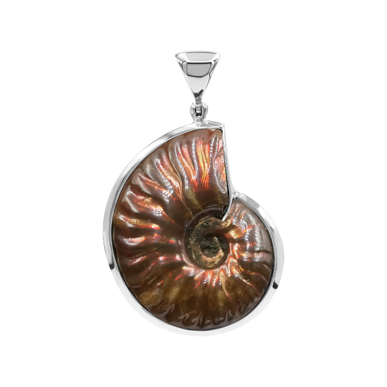 Fossil Red Ammonite Pendant