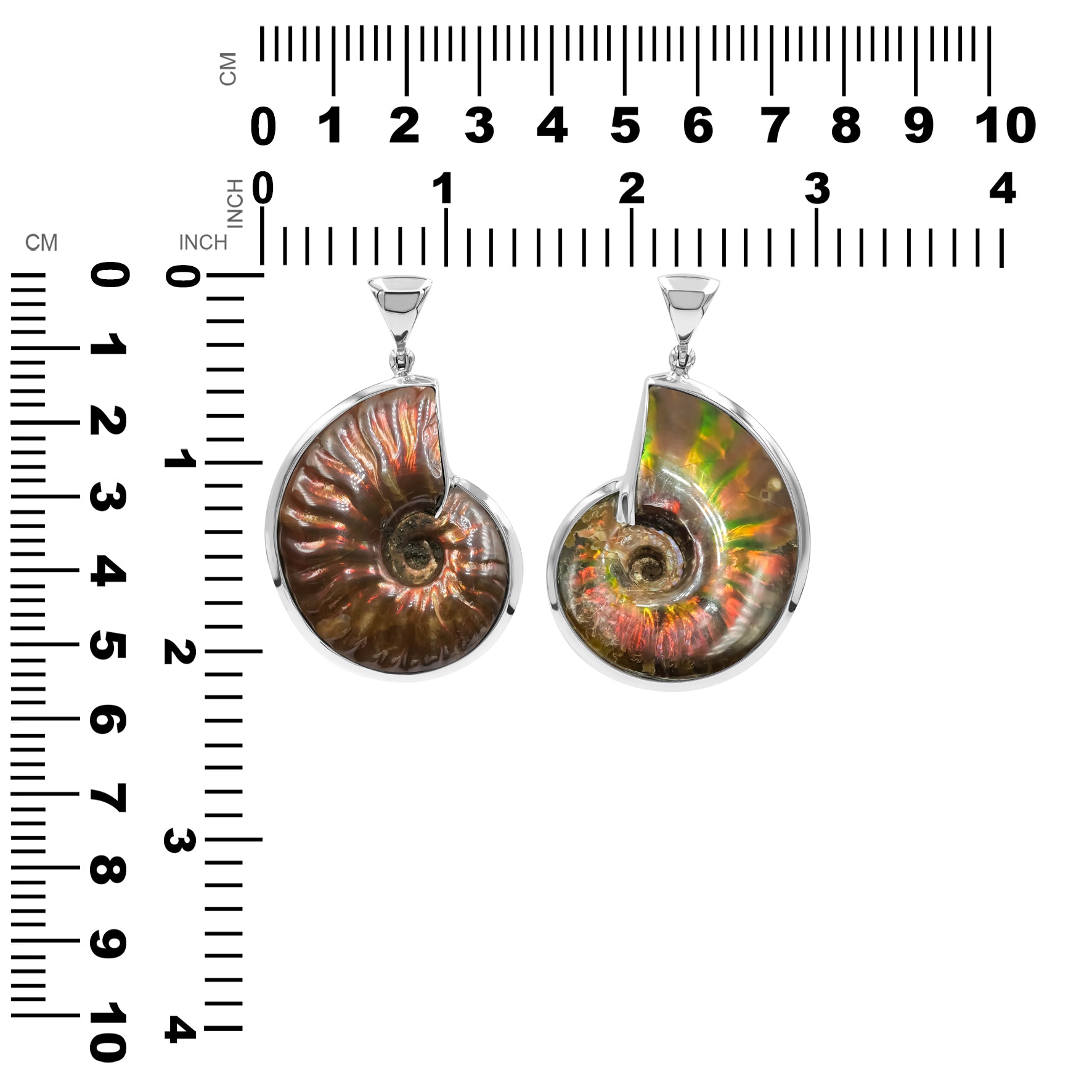 Fossil Red Ammonite Pendant