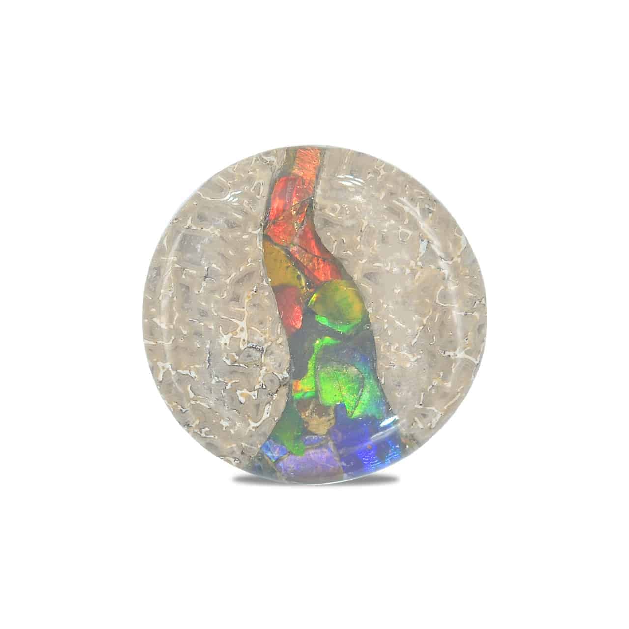 Starborn Fossil Dinosaur Bone with Ammolite Inlay Round Cabochon - 1 piece