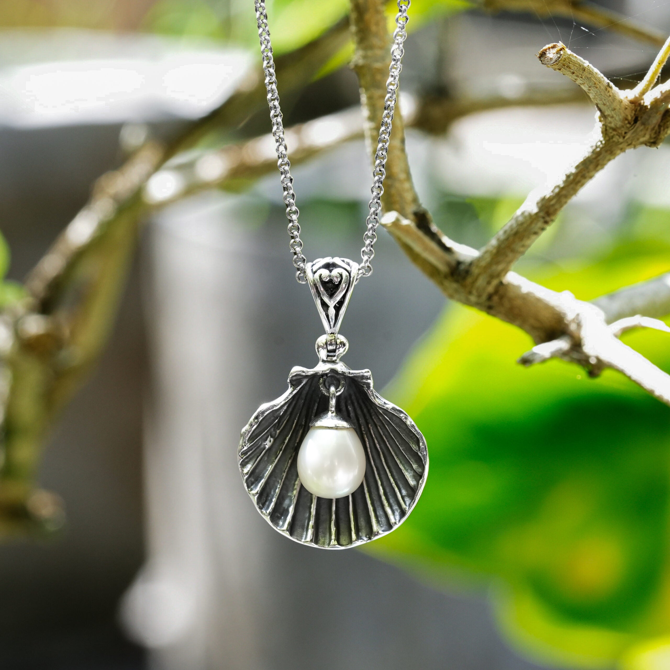 Seashell Pendant