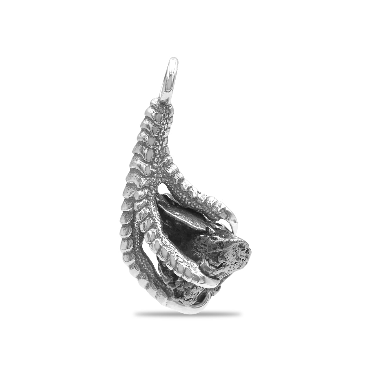 Starborn Gemstone Eagle Claw Pendant in Sterling Silver