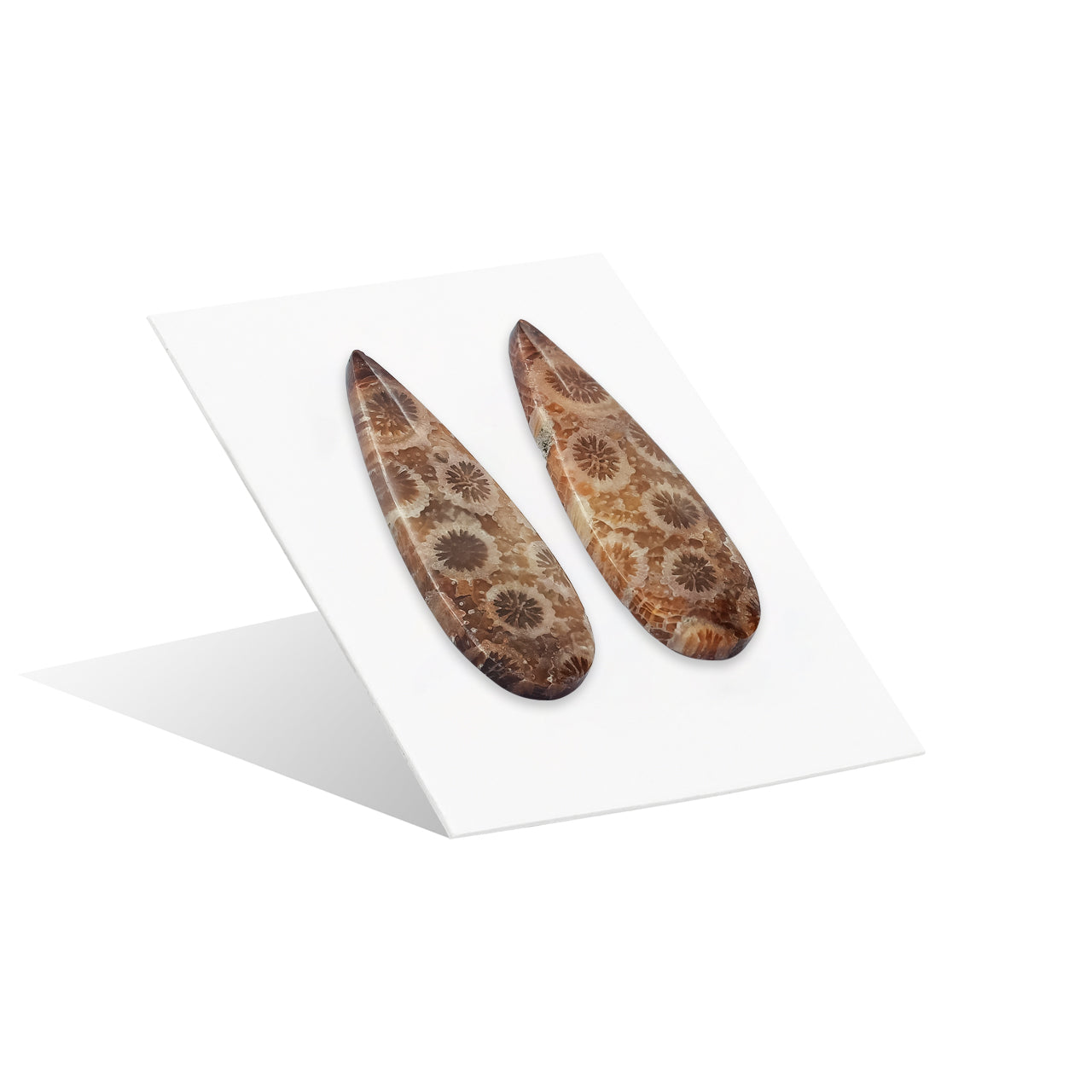 Fossil Coral Pear Cabochon 30x10 mm