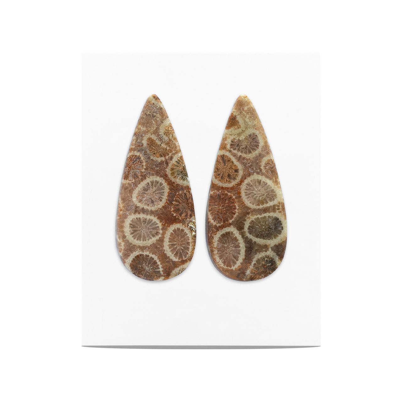 Fossil Coral Pear Cabochon 28x12 mm