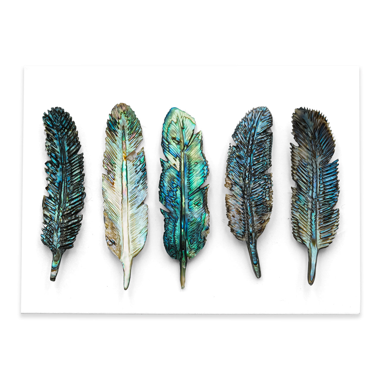 Abalone Shell Feather Carving - 5 Pieces