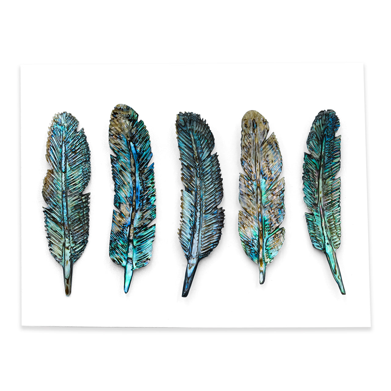 Abalone Shell Feather Carving - 5 Pieces