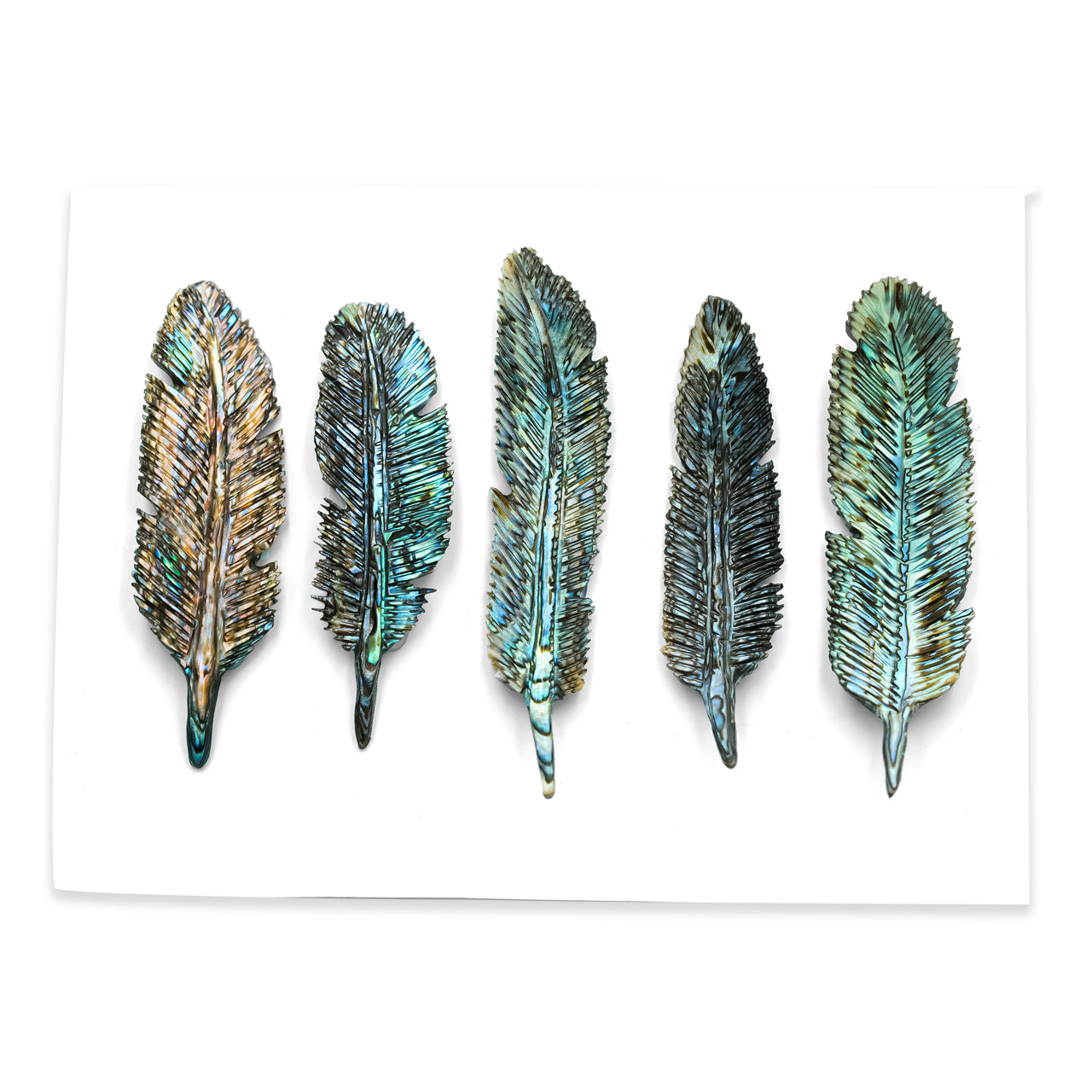 Abalone Shell Feather Carving - 5 Pieces