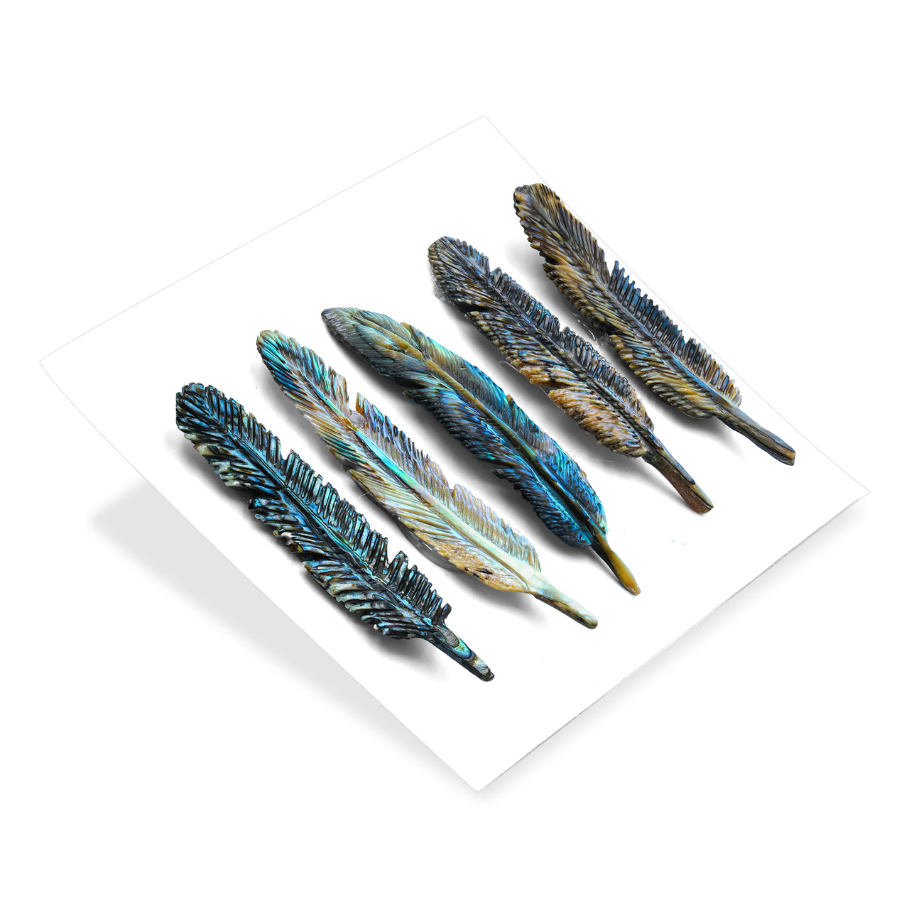 Abalone Shell Feather Carving - 5 Pieces