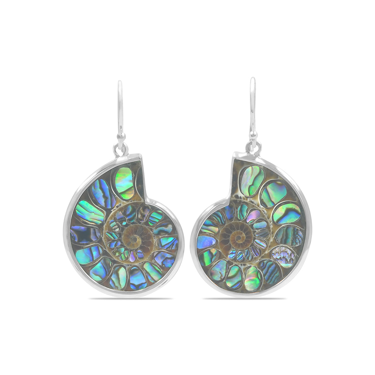 Ammonite with Abalone Shell Inlay Earrings