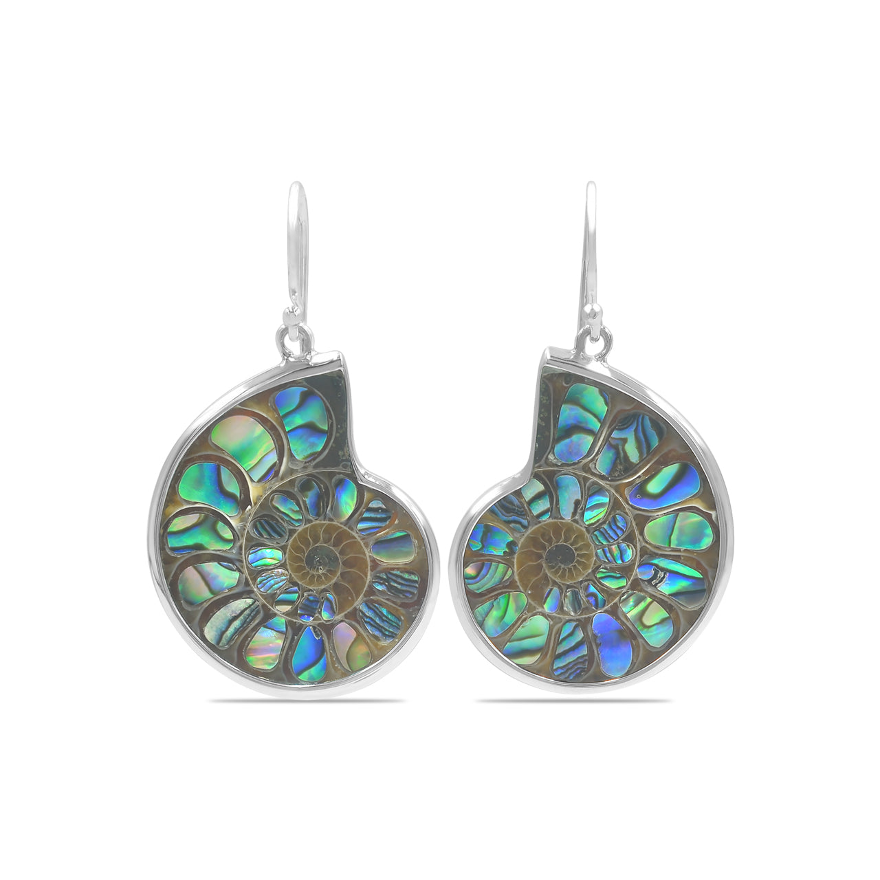 Ammonite with Abalone Shell Inlay Earrings