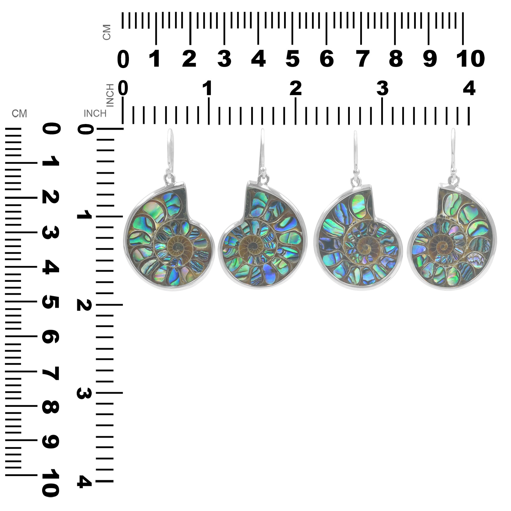 Ammonite with Abalone Shell Inlay Earrings