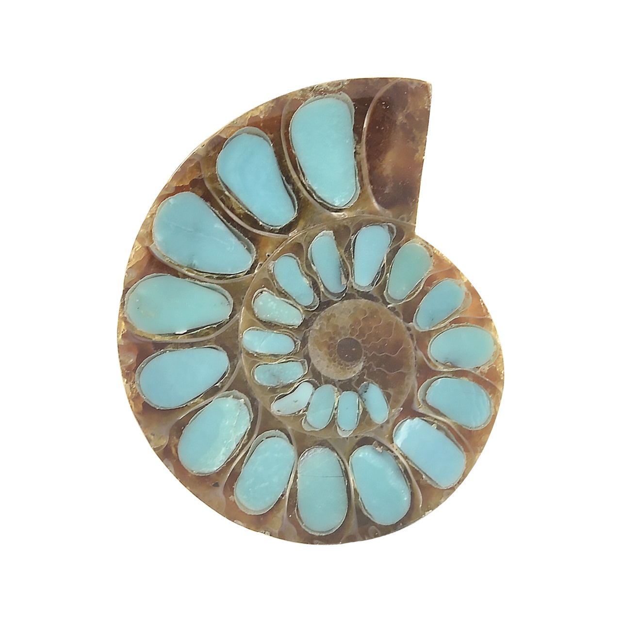 Turquoise Inlay Ammonite Cabochon