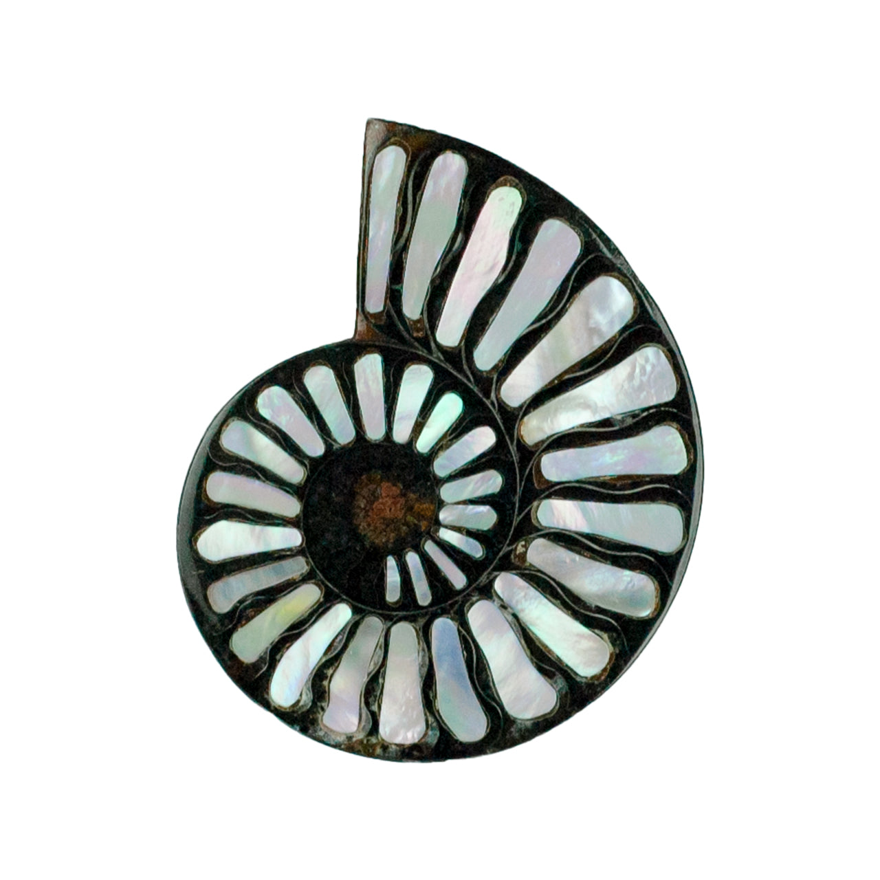 Ammonite with Mother of Pearl Inlay Cabochon