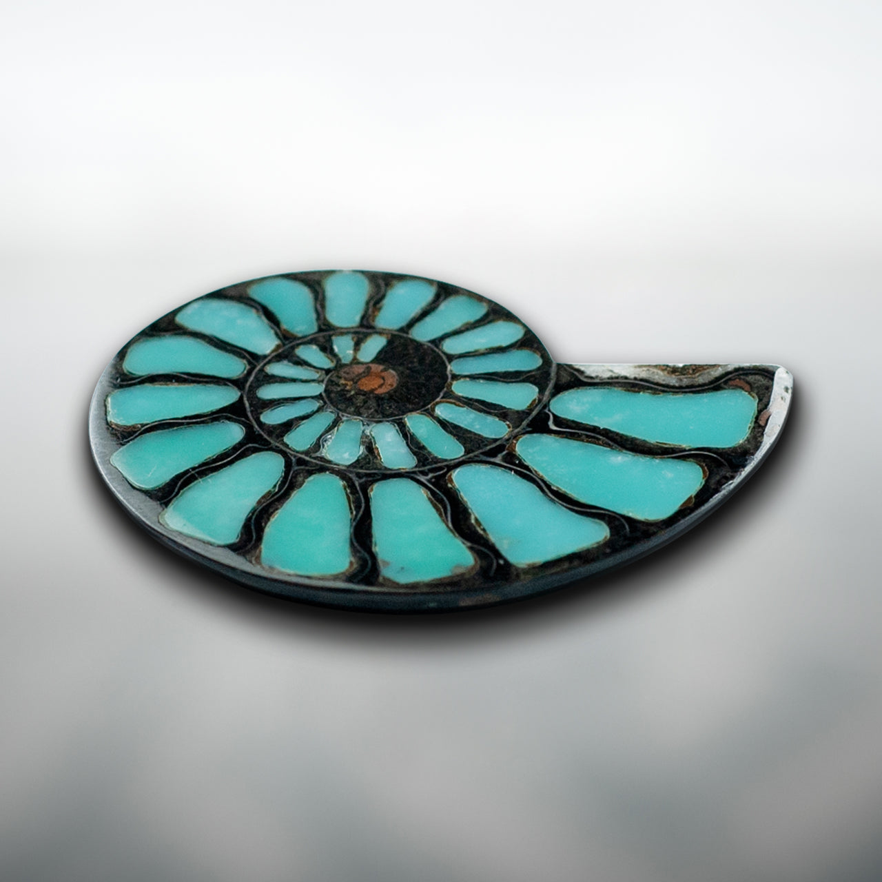 Ammonite with Turquoise Inlay Cabochon