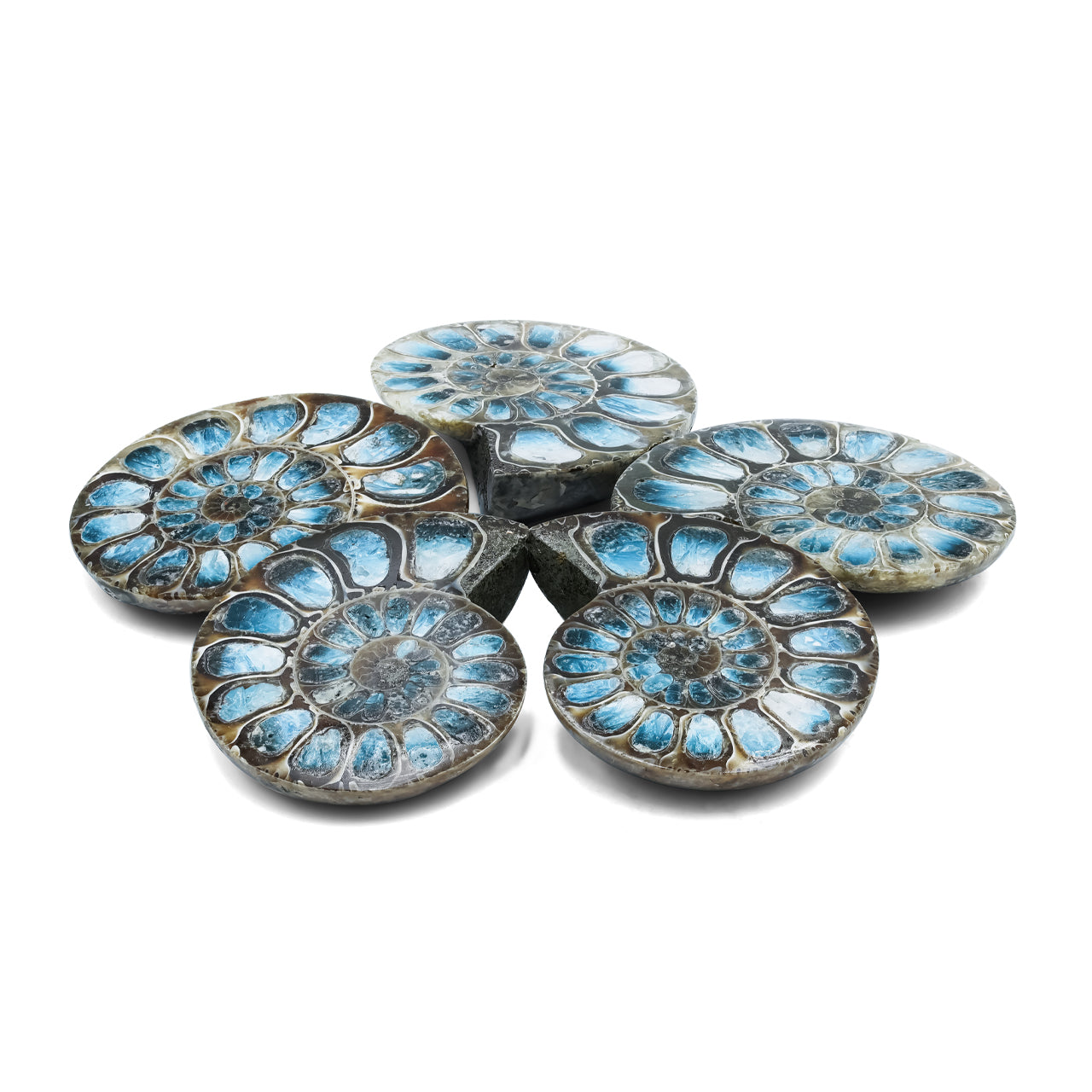 Ammonite Half with Blue Ice Glacierite Inlay Cabochon 42-44 mm