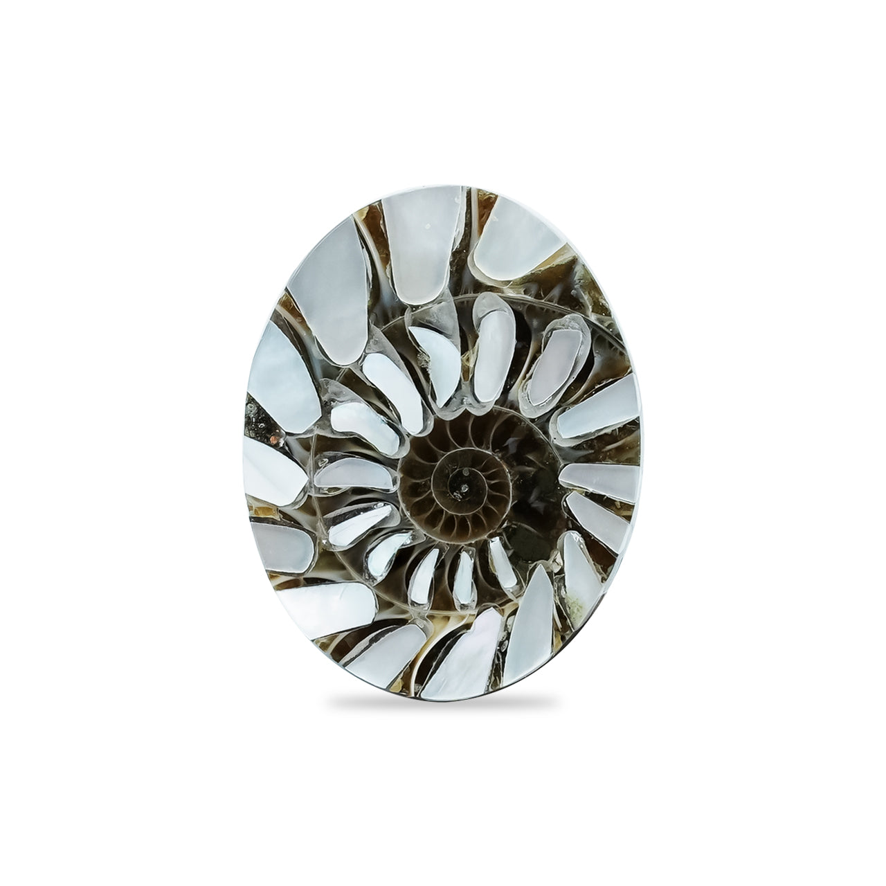 Ammonite with Mother of Pearl Inlay