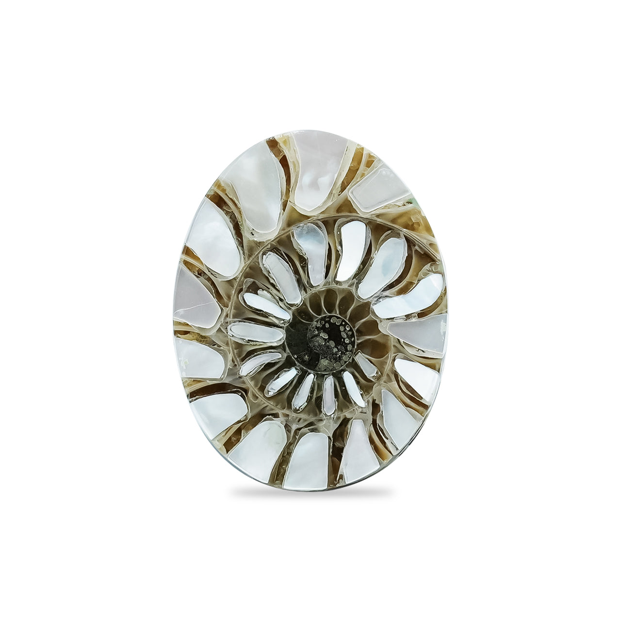 Ammonite with Mother of Pearl Inlay