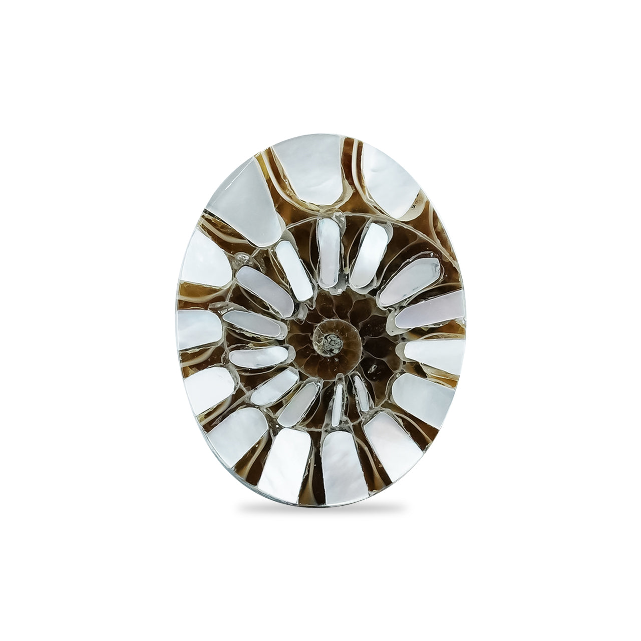 Ammonite with Mother of Pearl Inlay