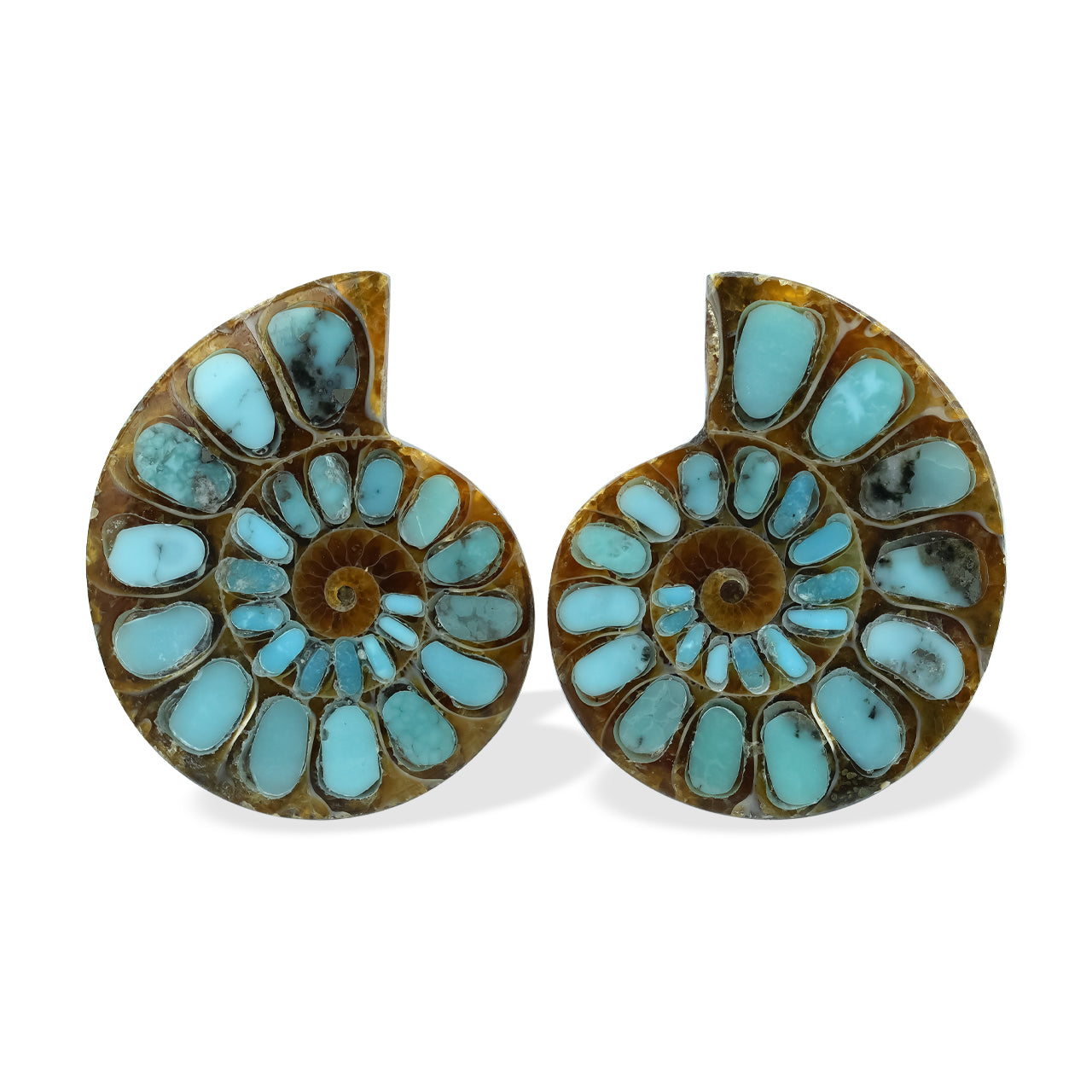 1 pair of Ammonite With Turquoise 25-28mm