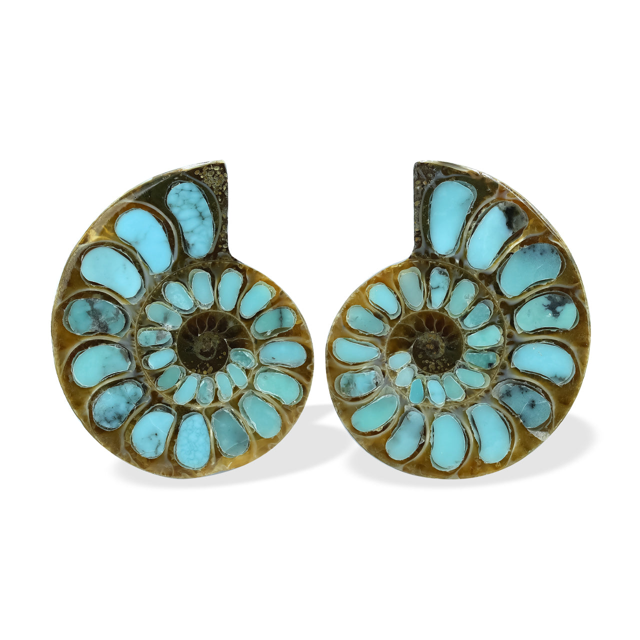 1 pair of Ammonite With Turquoise 25-28mm