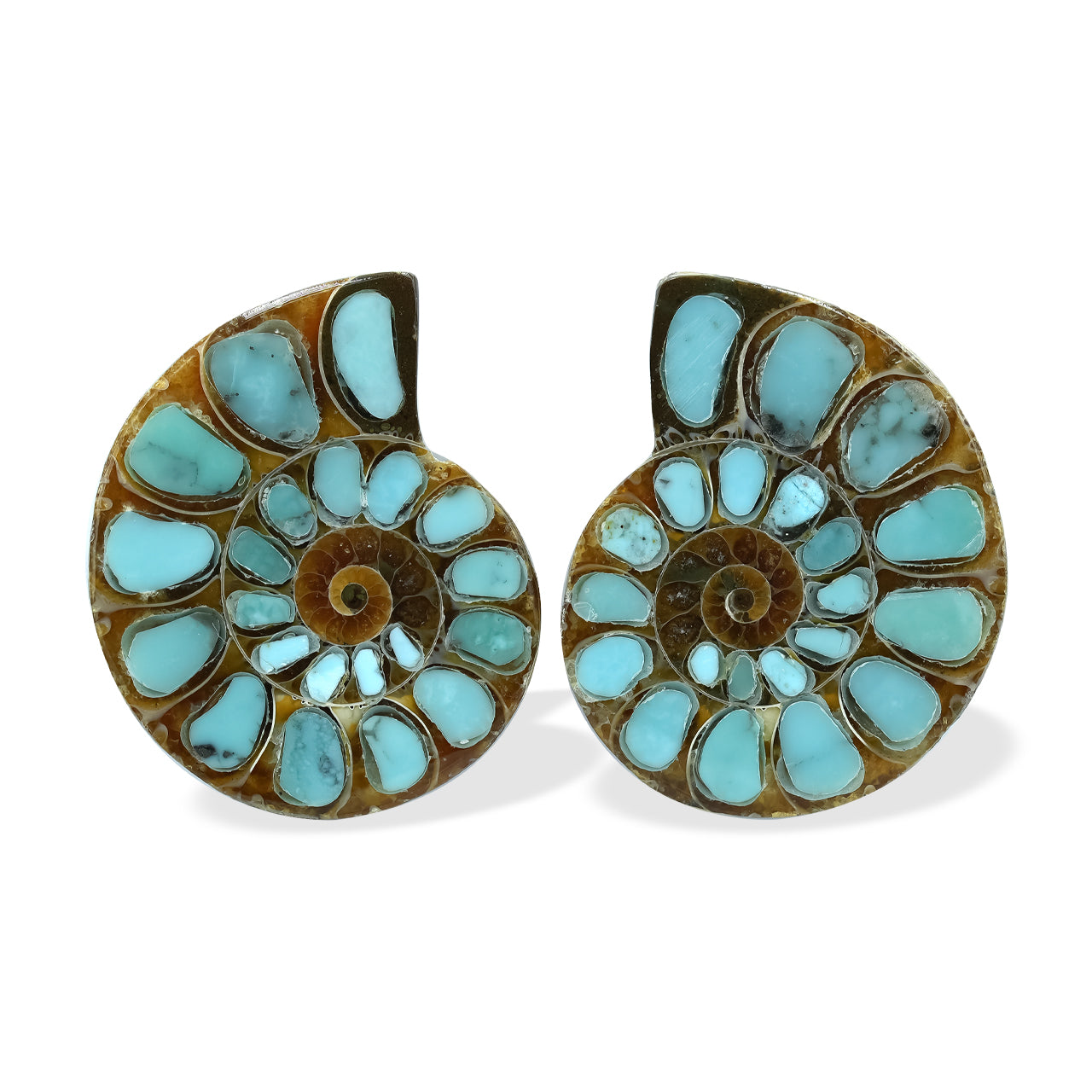 1 pair of Ammonite With Turquoise 25-28mm