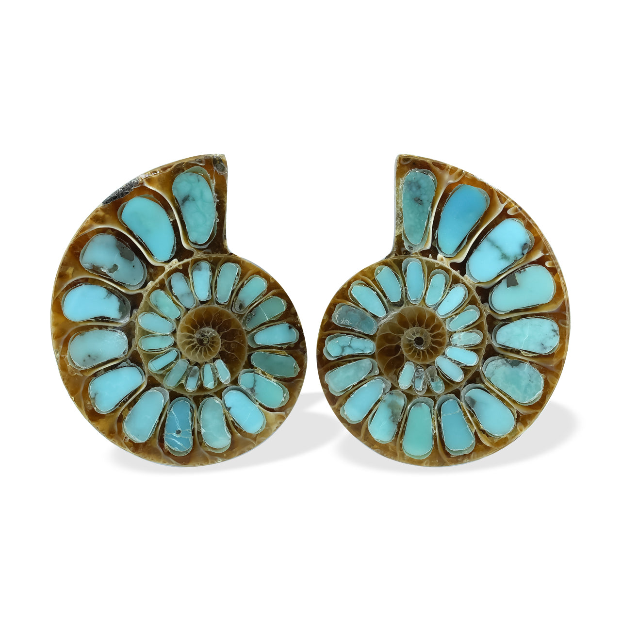 1 pair of Ammonite With Turquoise 25-28mm