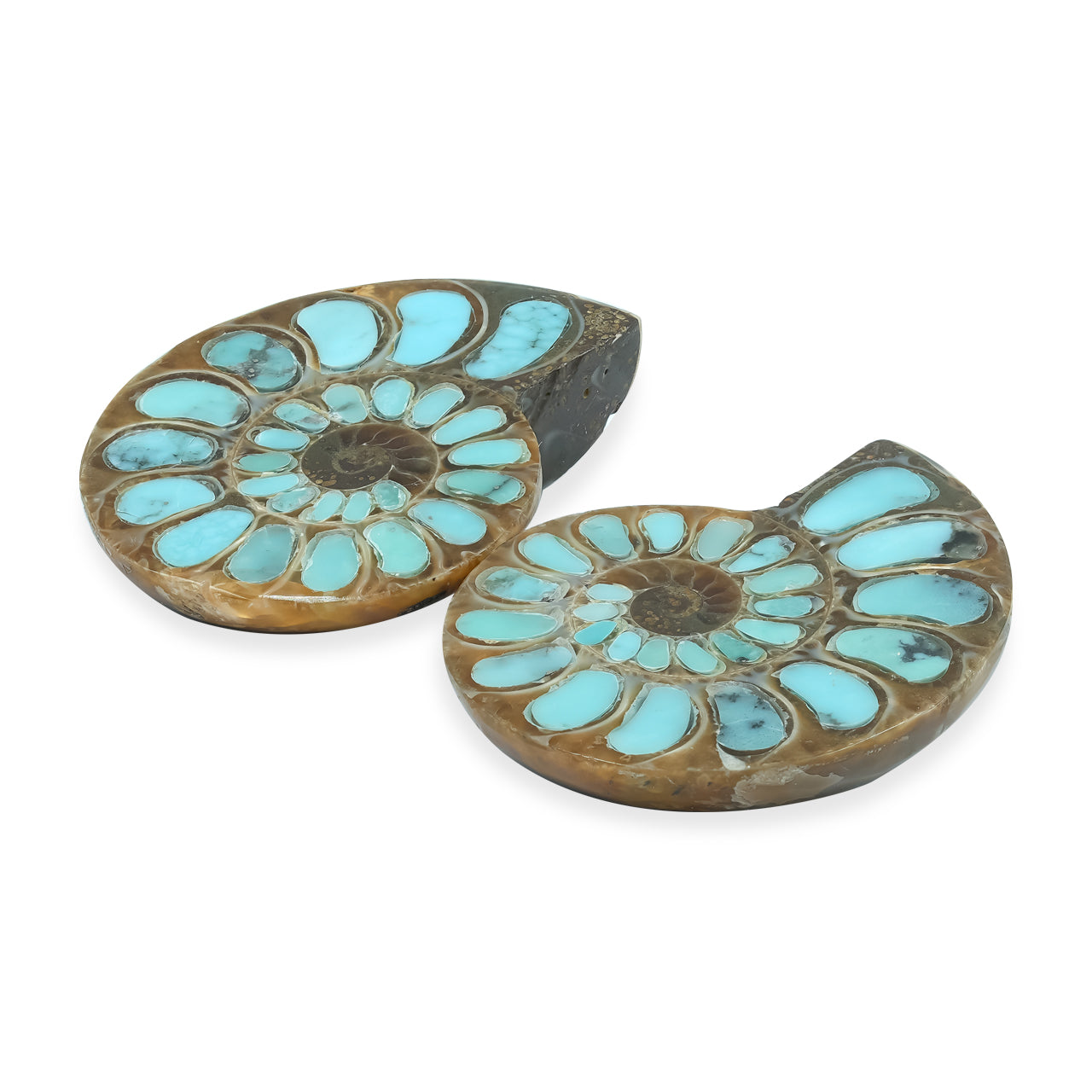 1 pair of Ammonite With Turquoise 25-28mm