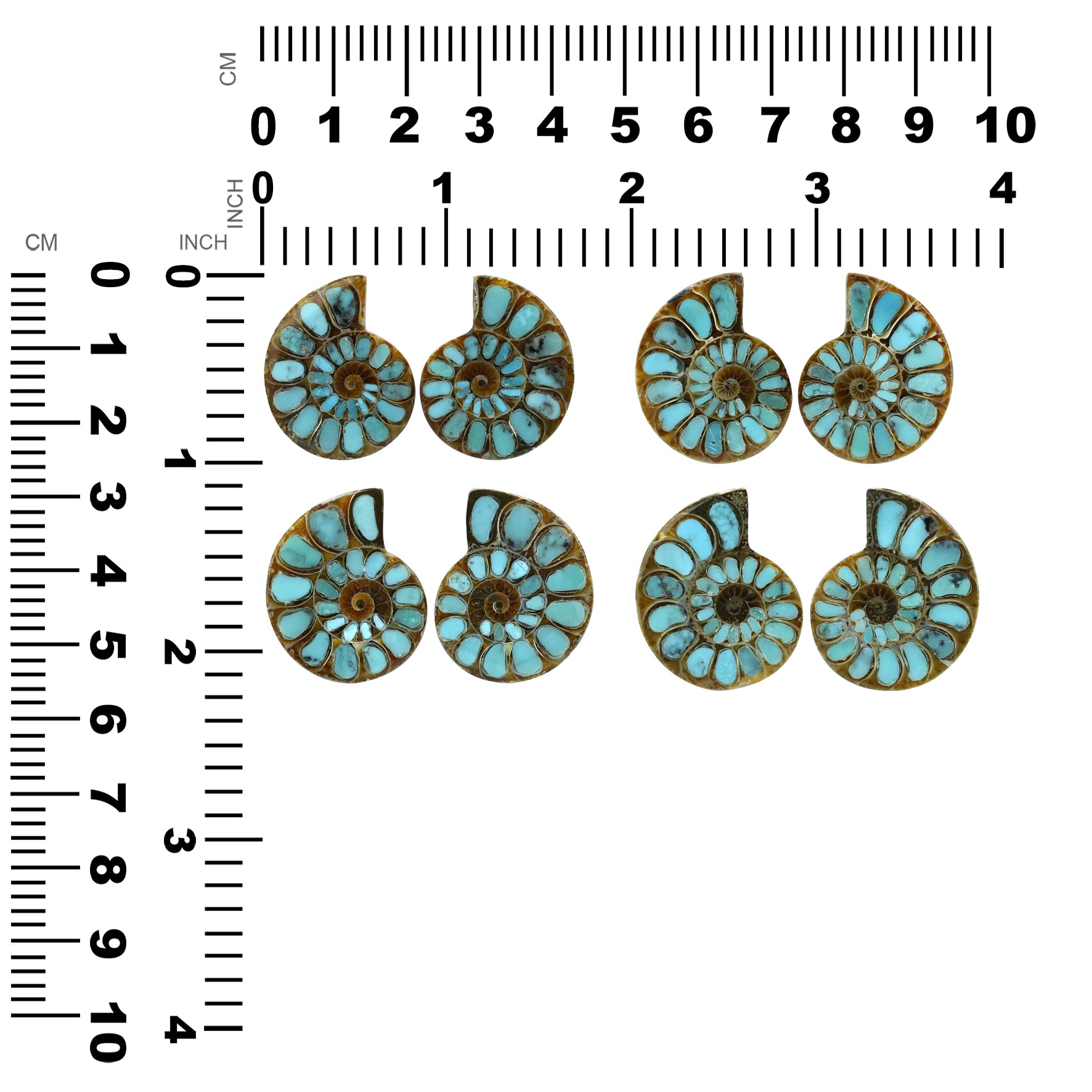 1 pair of Ammonite With Turquoise 25-28mm