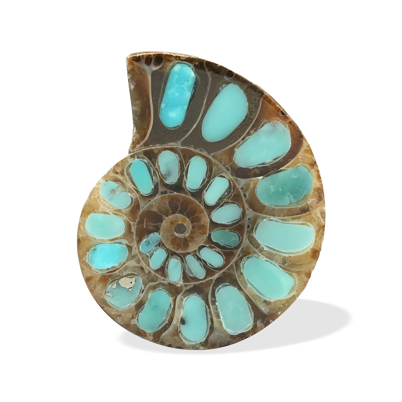 Ammonite with Turquoise 29-30mm