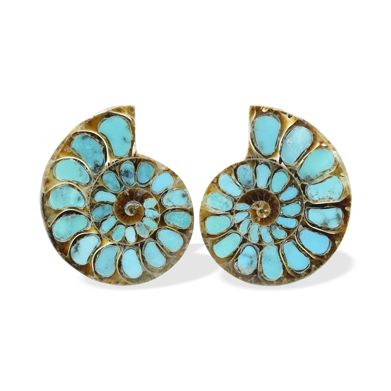 1 pair of Ammonite With Turquoise 28-30mm