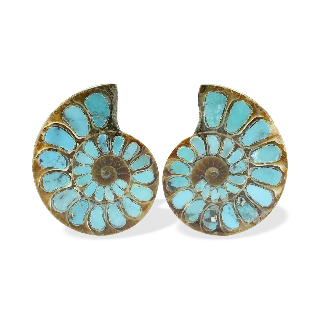 1 pair of Ammonite With Turquoise 28-30mm