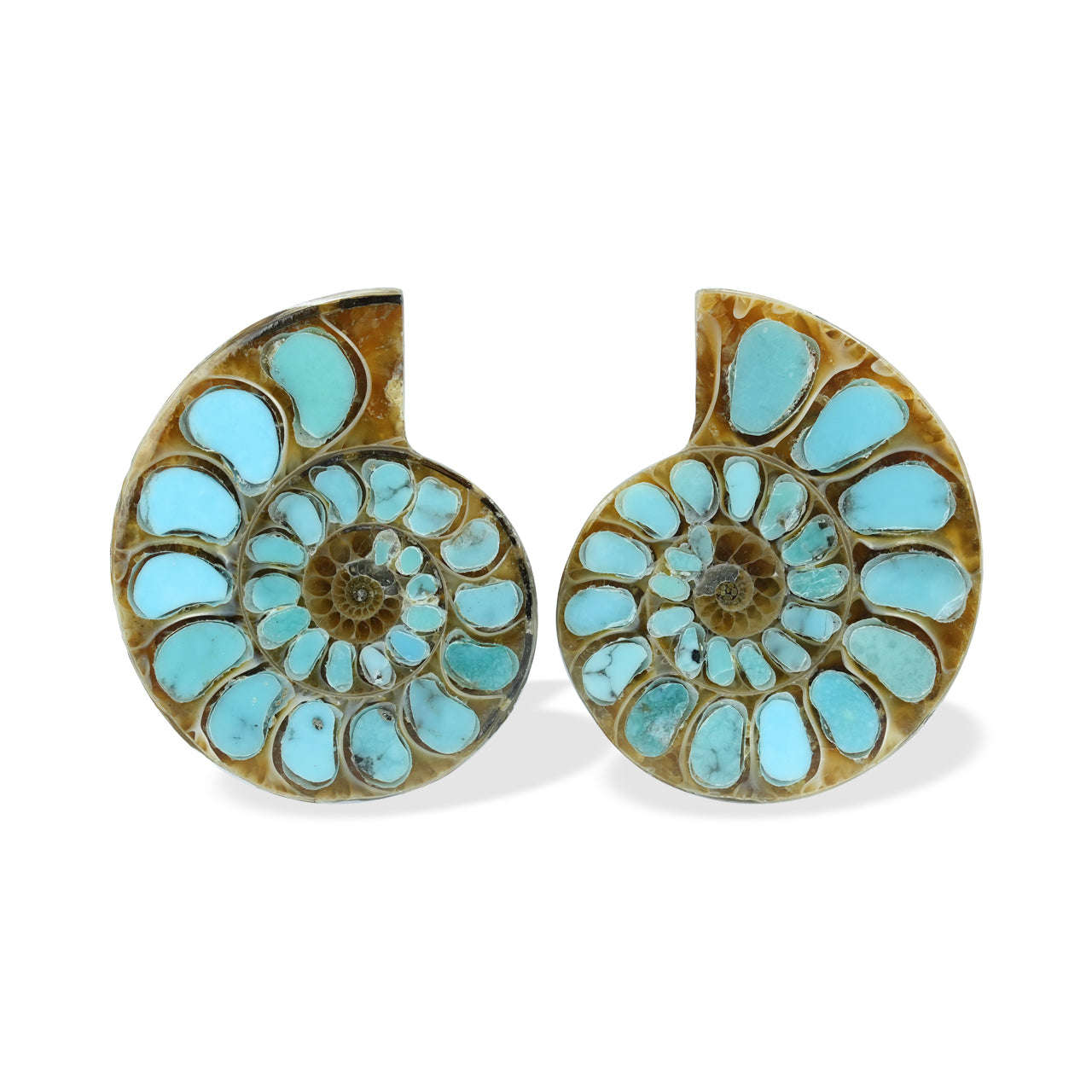 1 pair of Ammonite With Turquoise 28-30mm