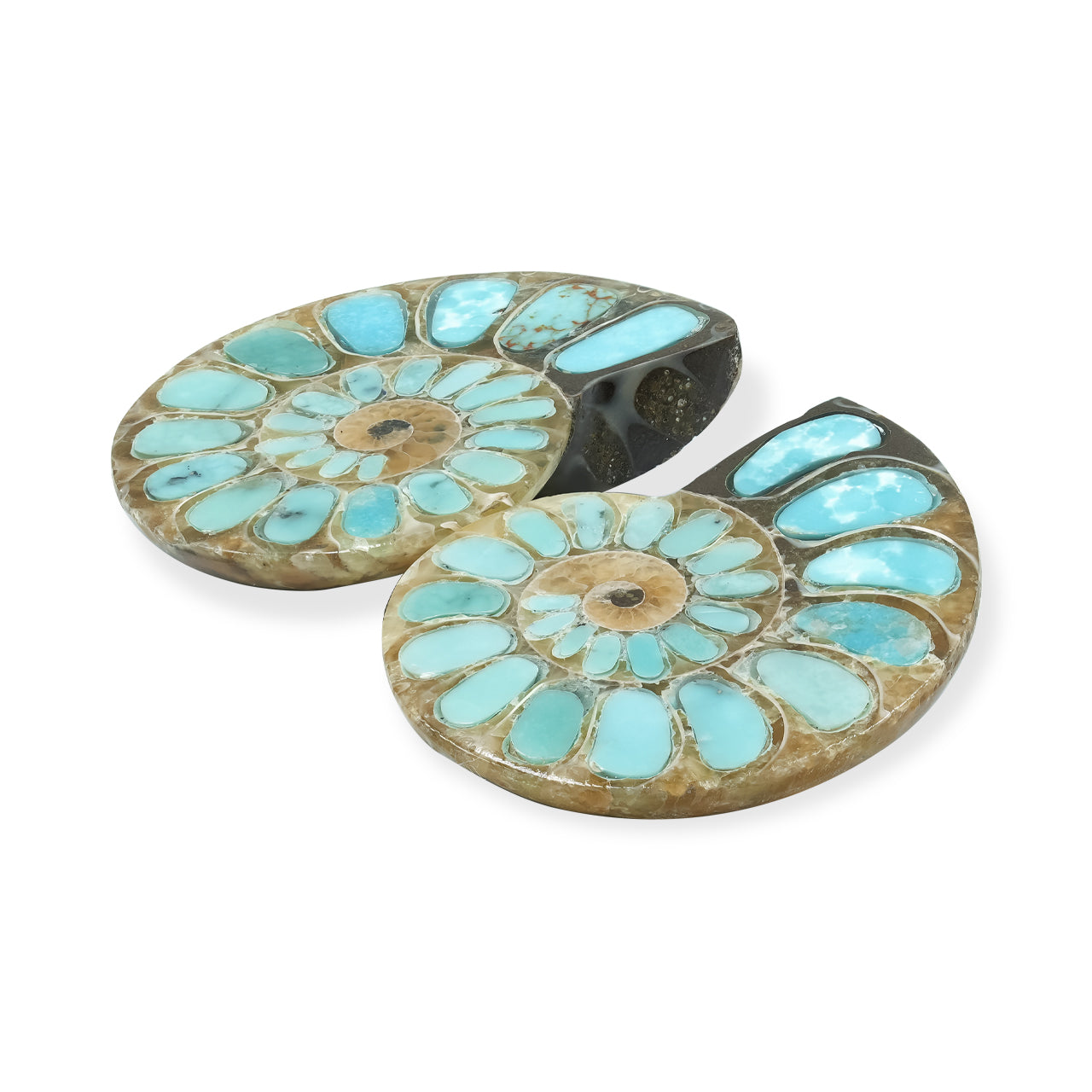 1 pair of Ammonite With Turquoise 28-30mm