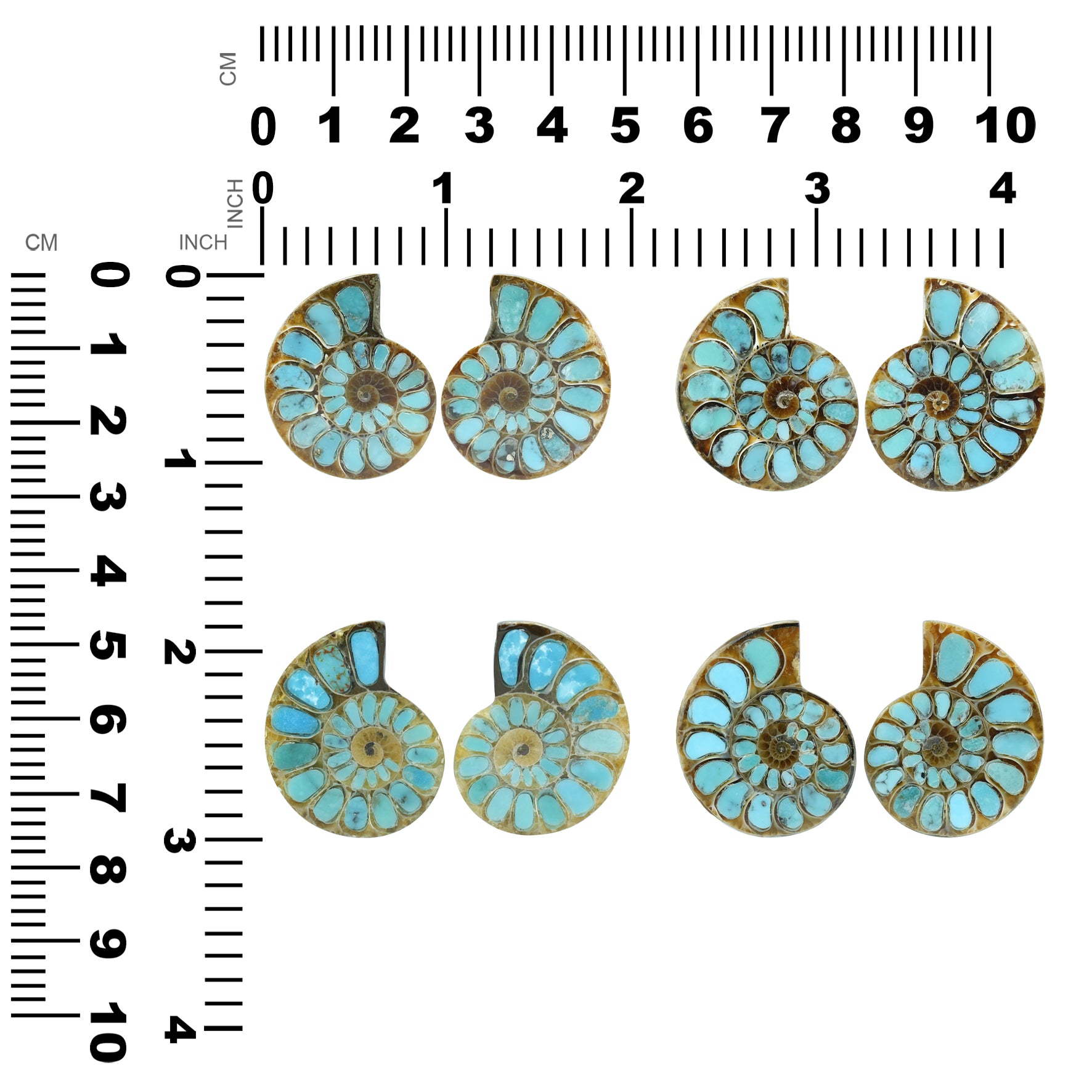 1 pair of Ammonite With Turquoise 28-30mm