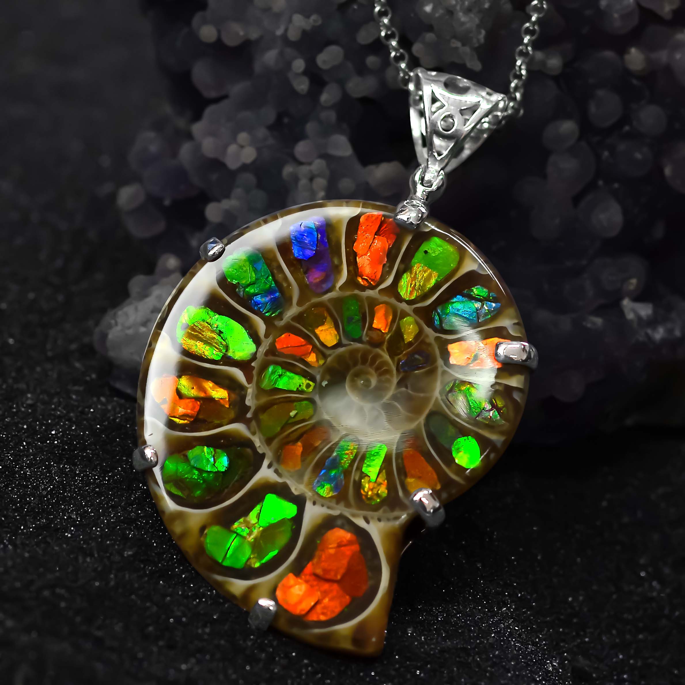 Ammonite with Ammolite Inlay Pendant