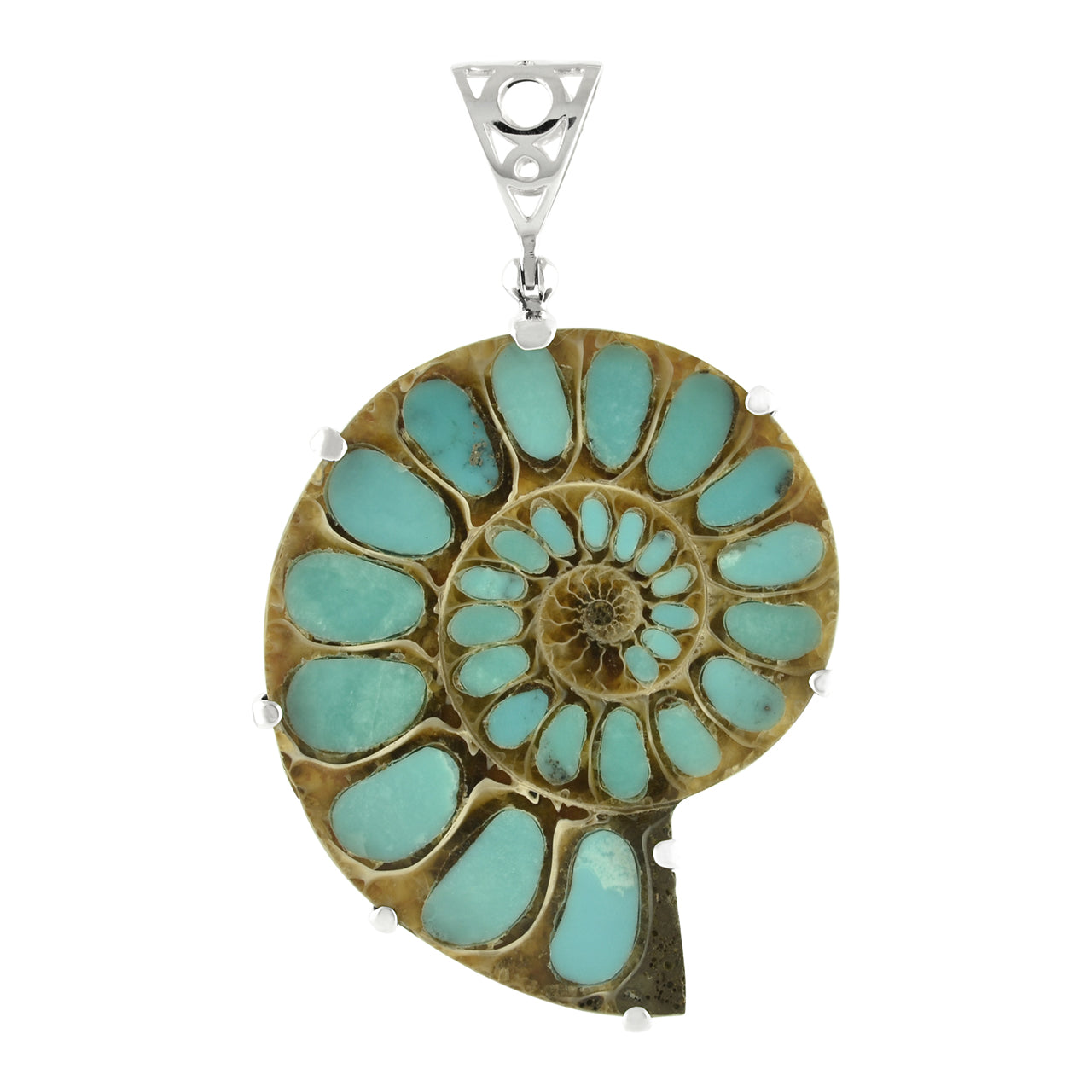 Ammonite with Turquoise Inlay Pendant