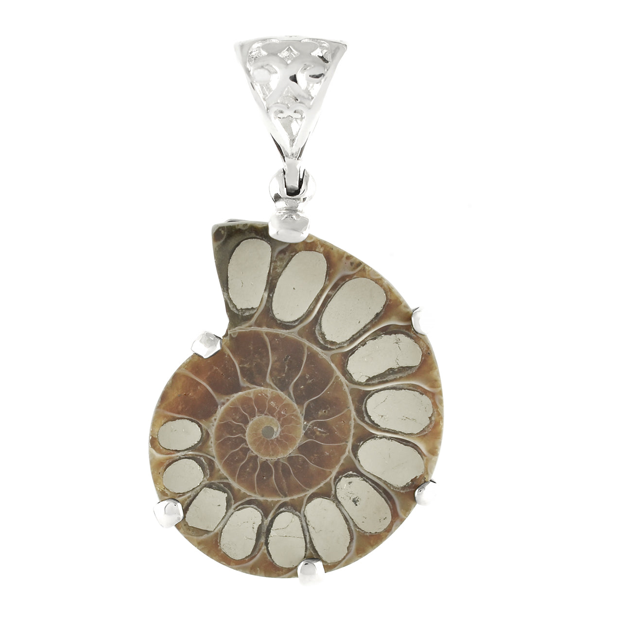 Ammonite with Pyrite Inlay Pendant