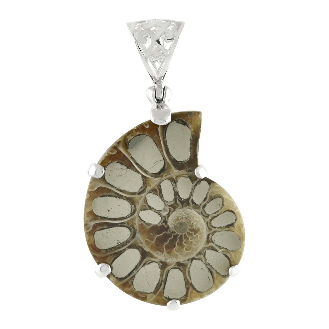 Ammonite with Pyrite Inlay Pendant