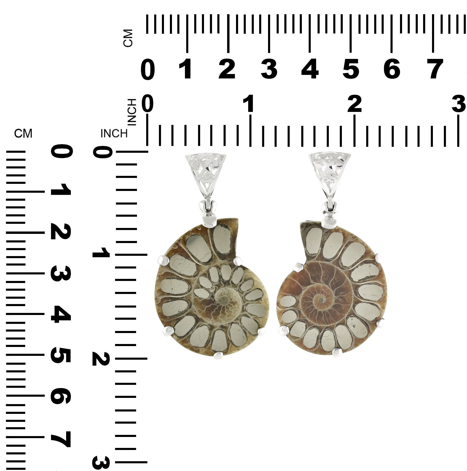 Ammonite with Pyrite Inlay Pendant