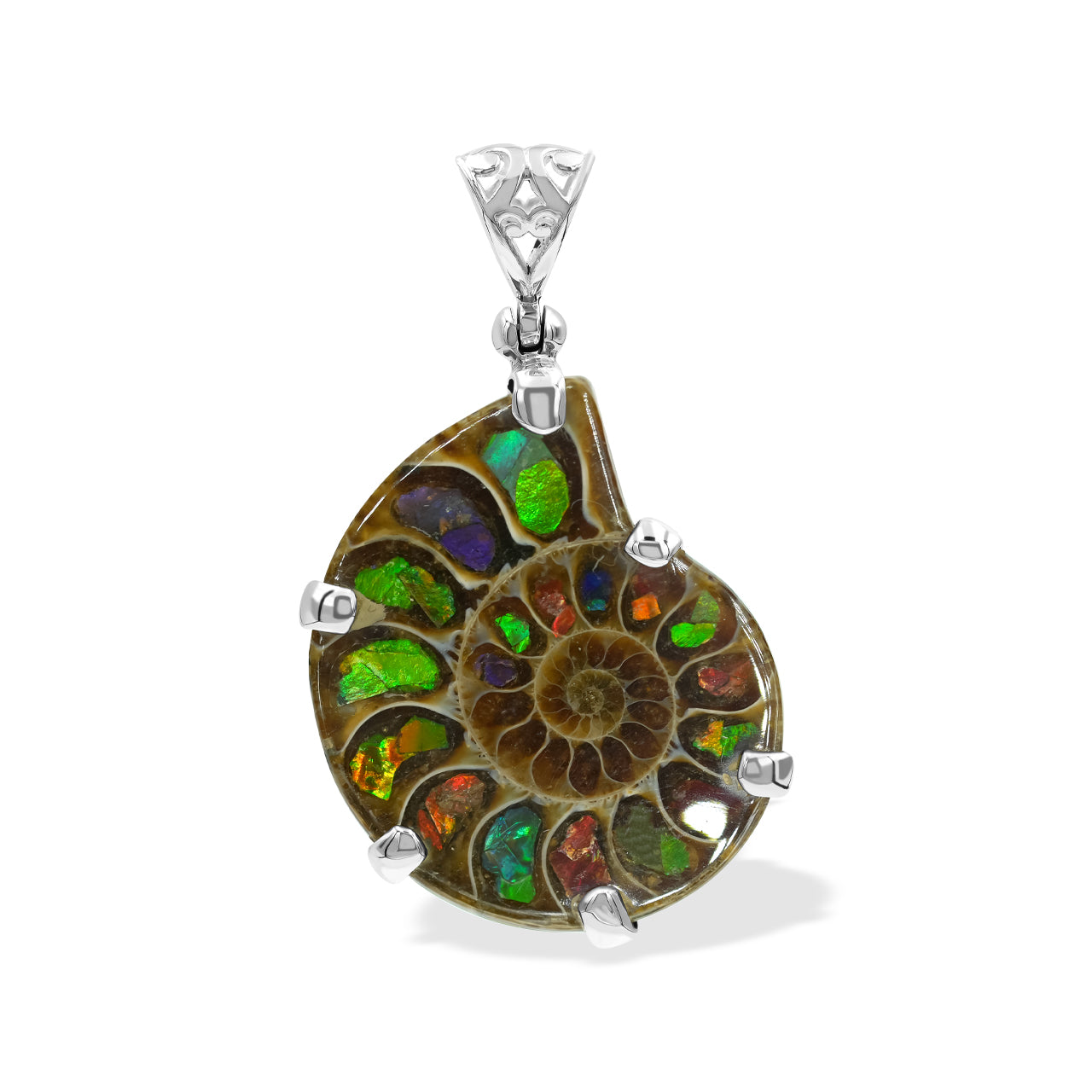 Pendant Ammonite with Ammolite Inlay