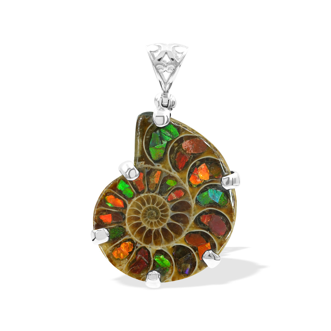 Pendant Ammonite with Ammolite Inlay