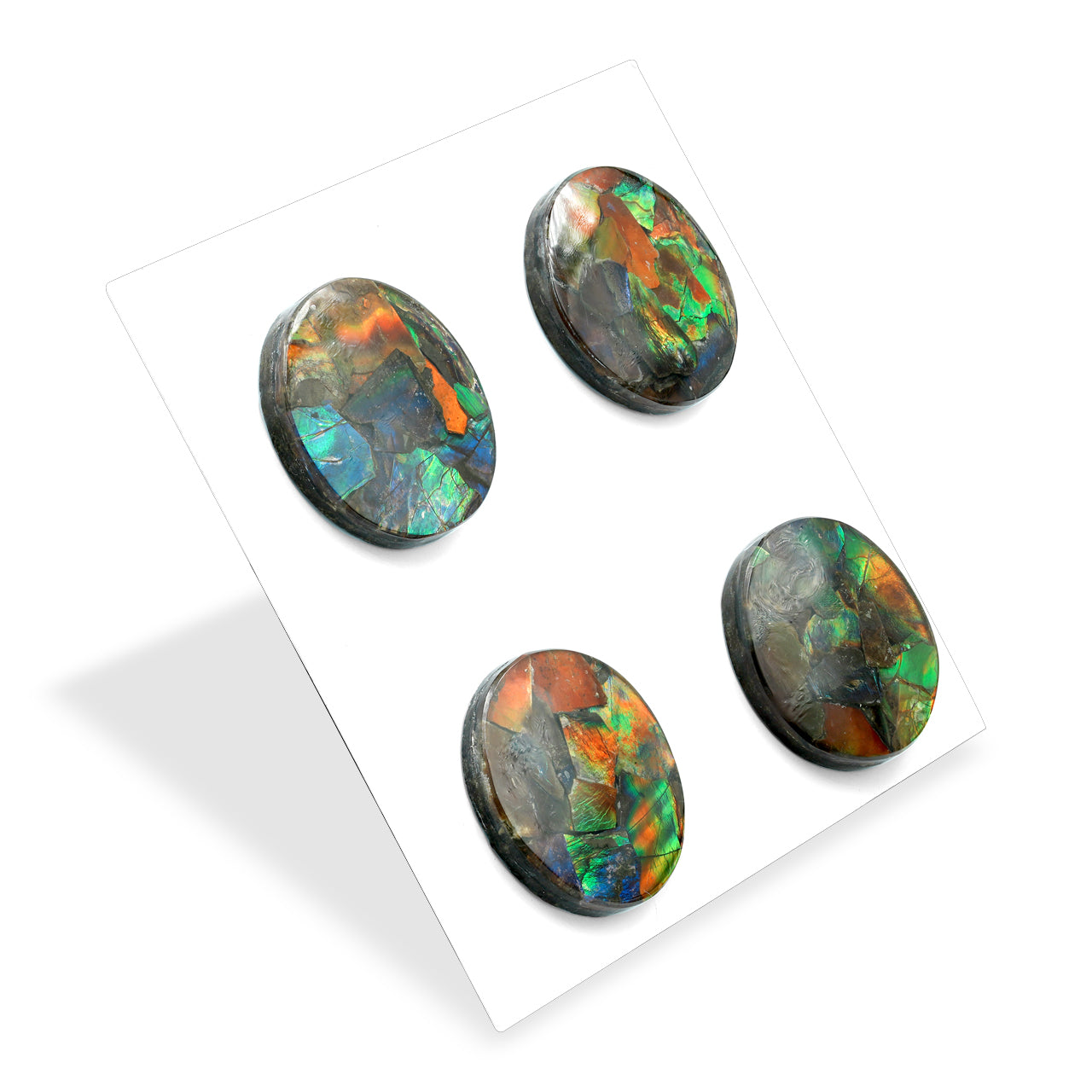 Ammolite Round Cabochon 27 mm